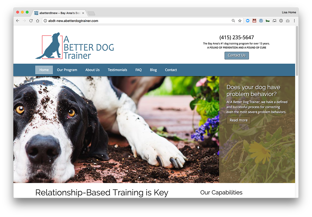 A Better Dog Trainer
